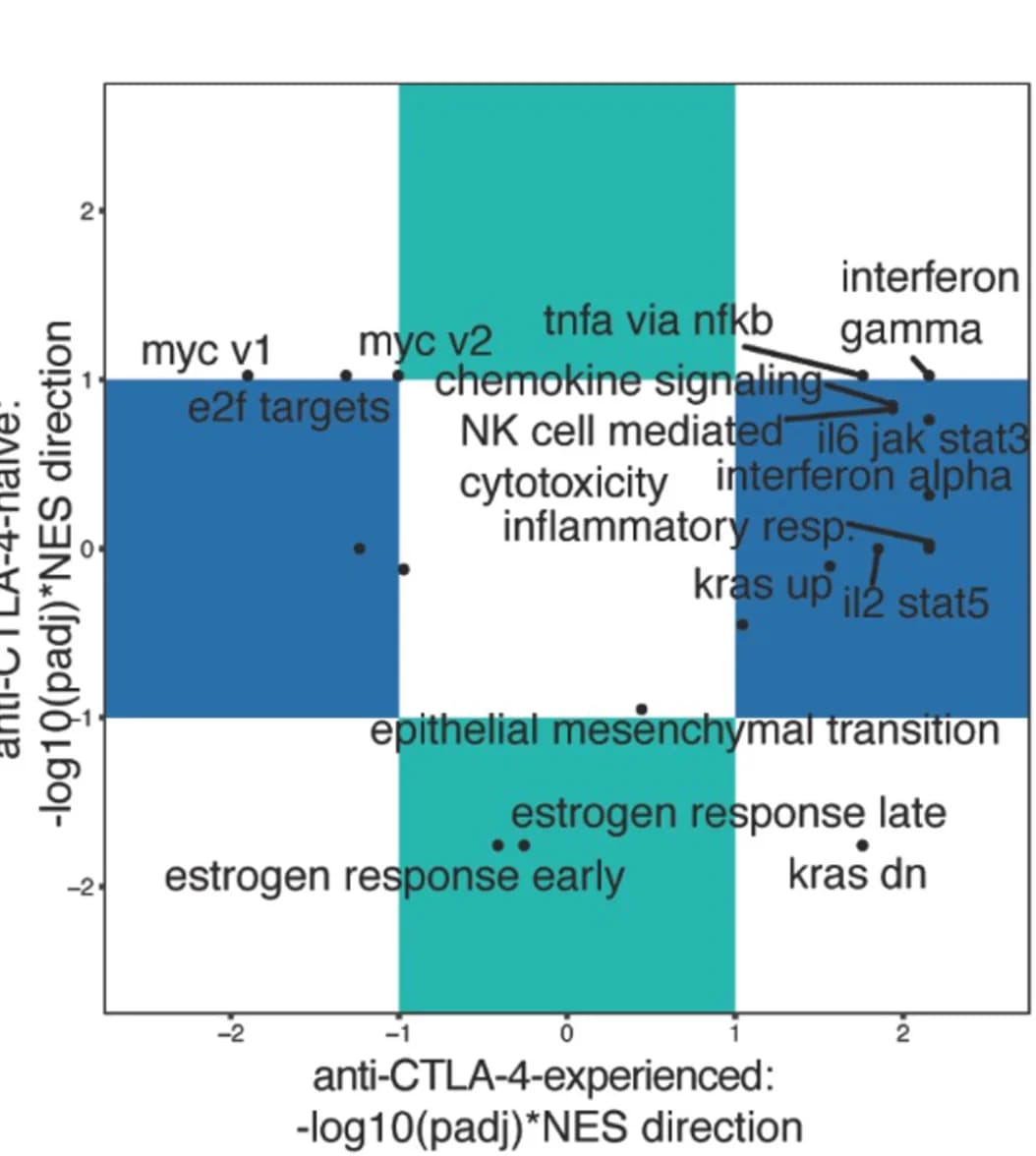 Open access visualization of Scatter Plot, Scatterplot, P Values, NES Direction, GSEA