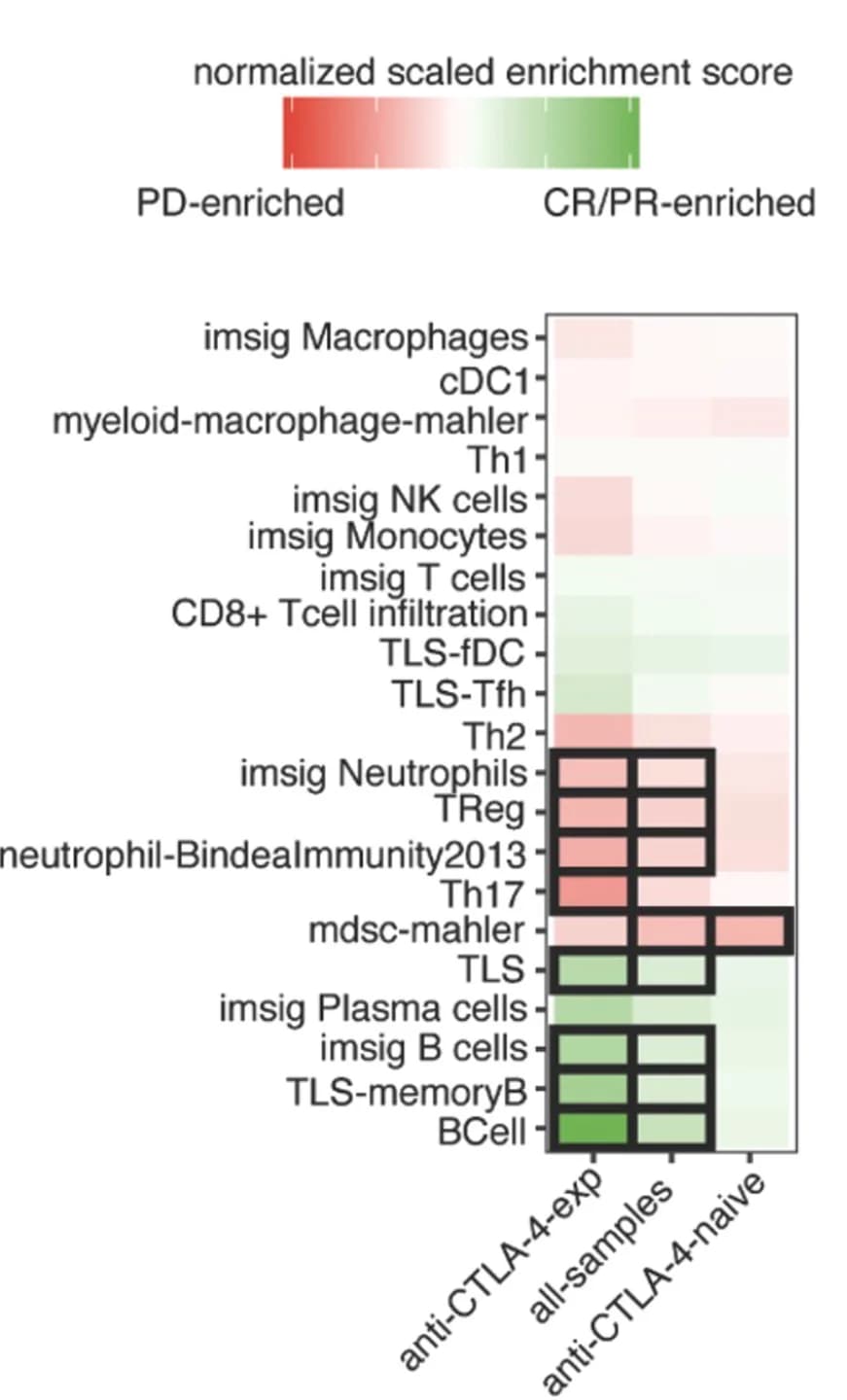 Open access visualization of Heatmap, Cell Type, Tumors, Prior Treatment, Wilcoxon Signed-Rank Test