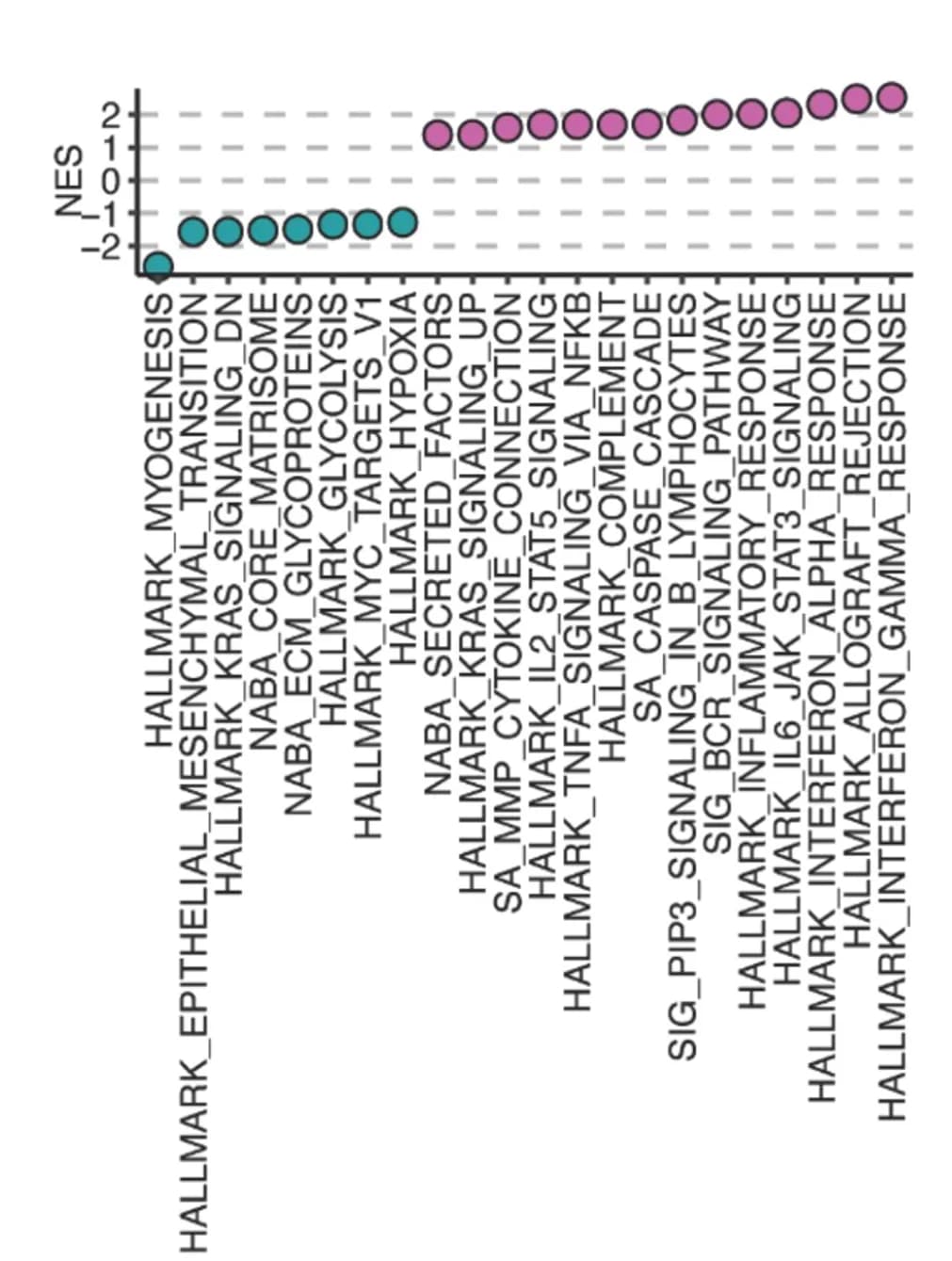 Open access visualization of Scatter Plot, Volcano Plot, NES, Rank-Based GSEA, Pathways
