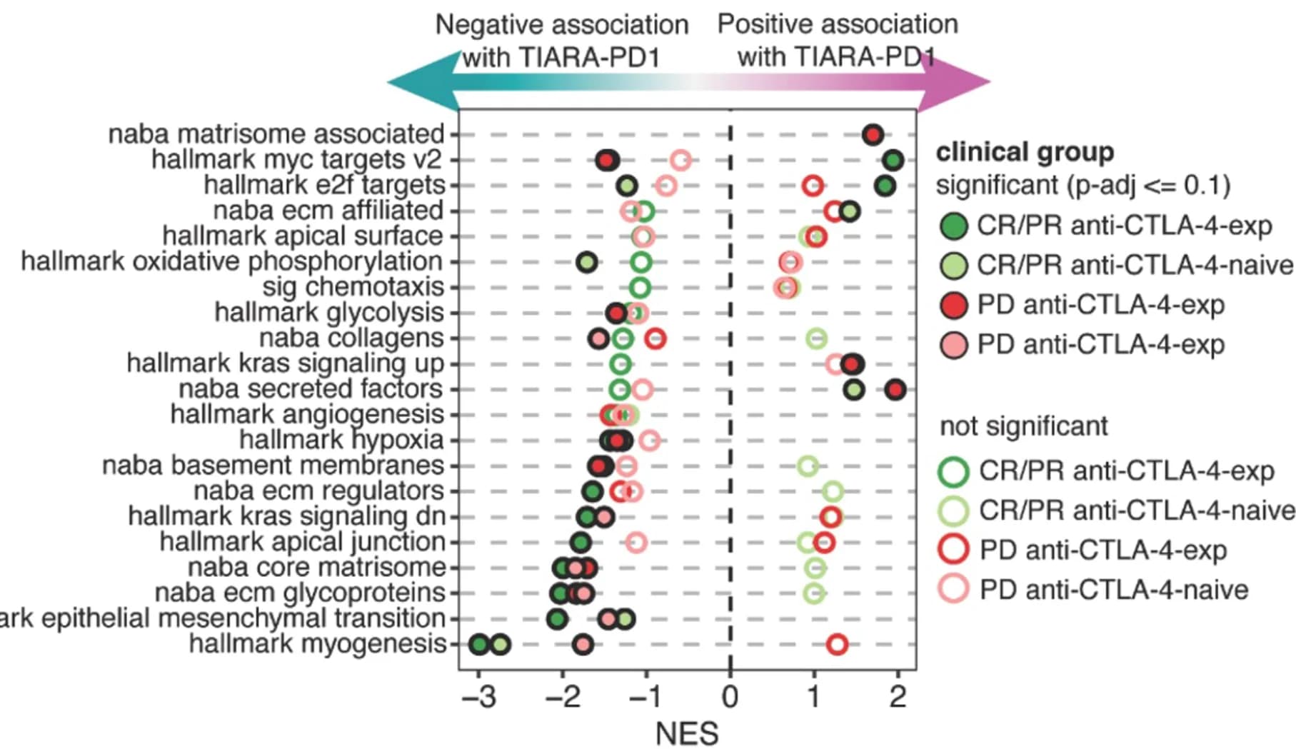 Open access visualization of Scatter Plot, Forest Plot, Rank-Based GSEA, Pathways, Hallmark