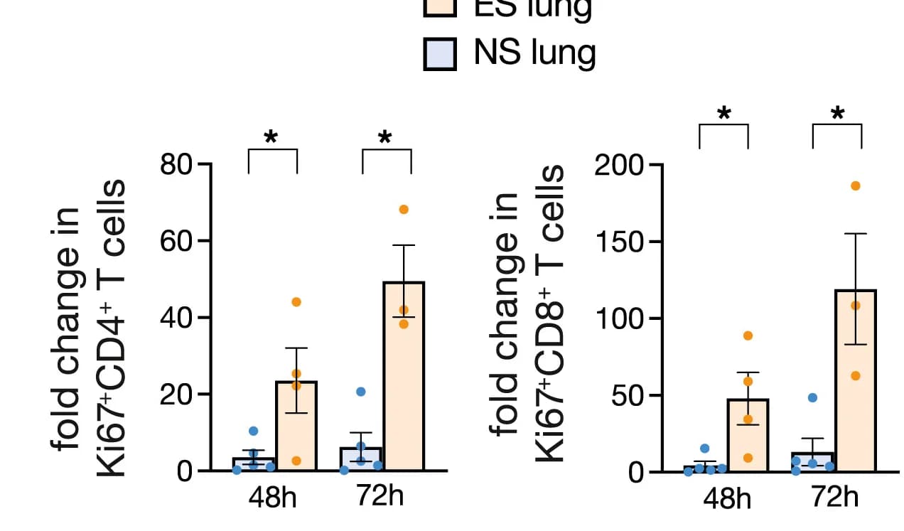 Open access visualization of Bar Plot, Error Bars, Scatter Plot, Ki67+ CD4+ T Cells, CD8+ T Cells