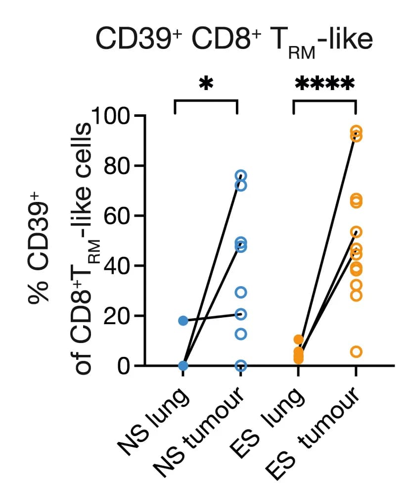 Open access visualization of Scatter Plot, Line Plot, CD39+CD8+TRM-like Cells, Non-malignant Lung, Tumors