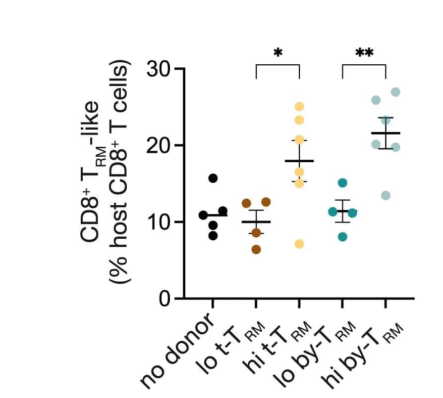 Open access visualization of Scatter Plot, Error Bars, Host CD8+TRM-like Cells, Lungs, Flow Cytometry