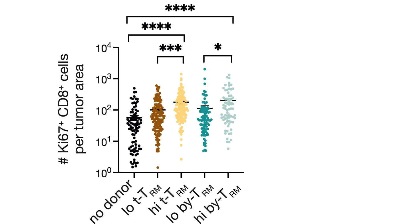 Open access visualization of Scatter Plot, CD8+Ki67+Cells, Lung Tumors