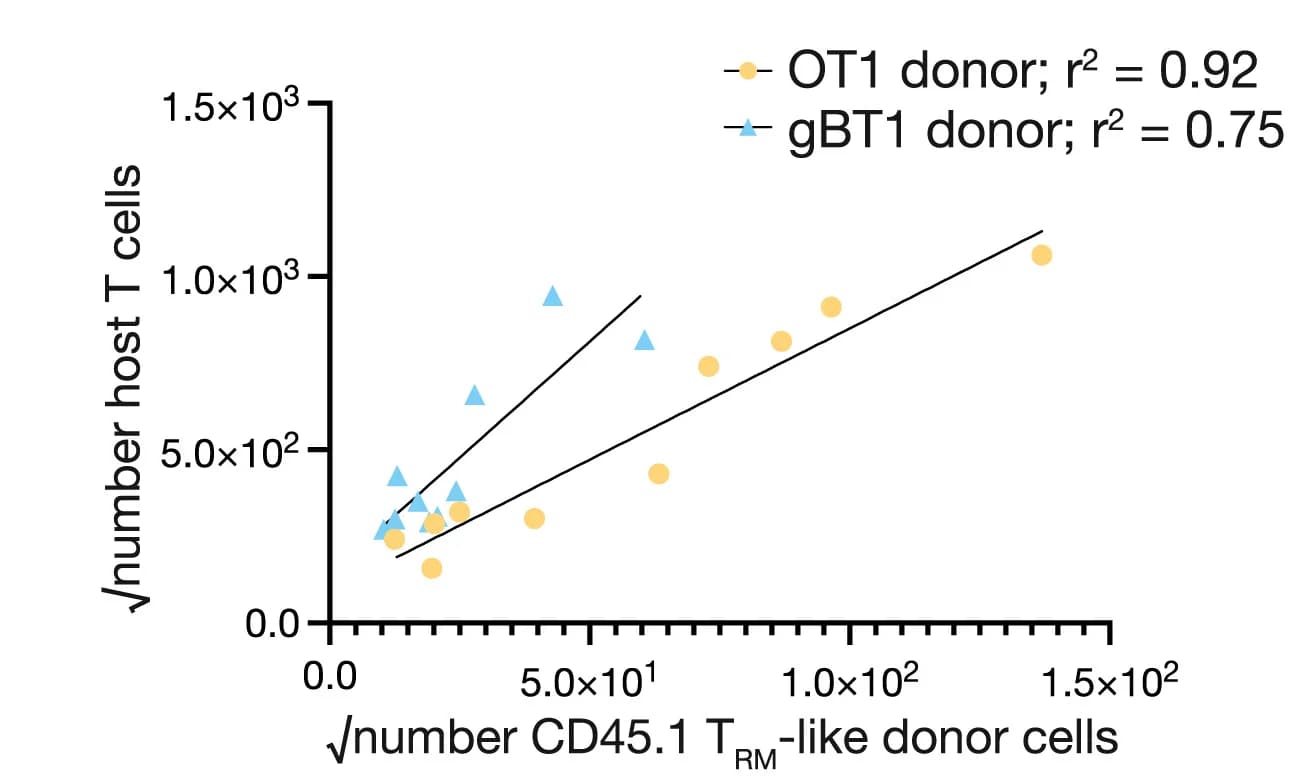 Open access visualization of Scatter Plot, Regression Plot, Linear Regression Analysis, Host CD3+T Cells, Donor CD8+TRM-like Cells