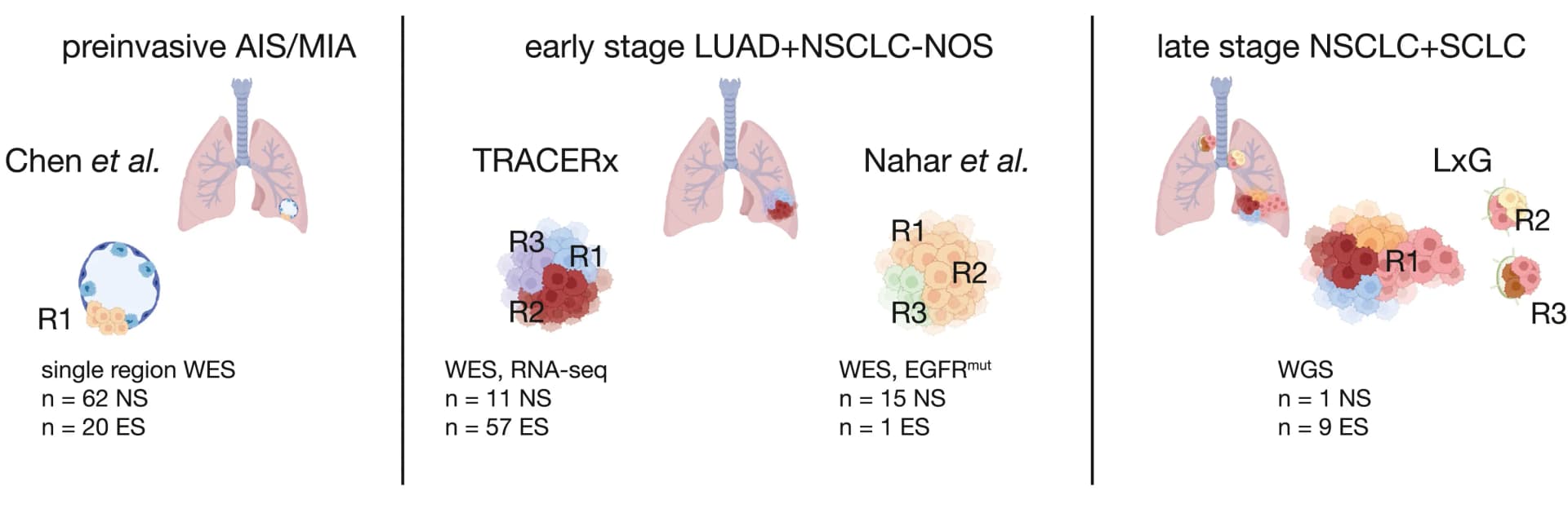Open access visualization of Illustration, Patient Cohorts, HLALOH, Multi-site Data, Subclonal