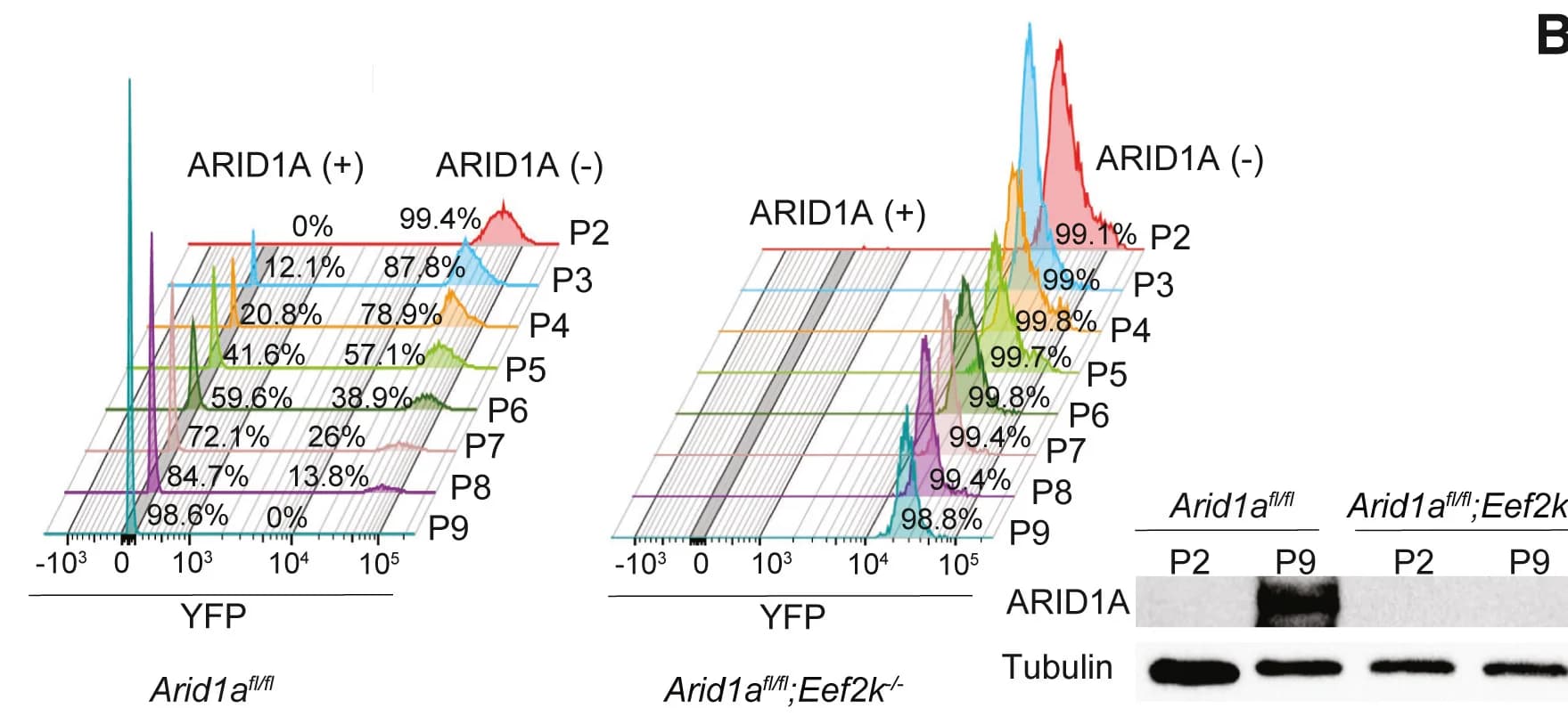 Open access visualization of Line Plot, Gel, FACS, Cell Sorting, Arid1a