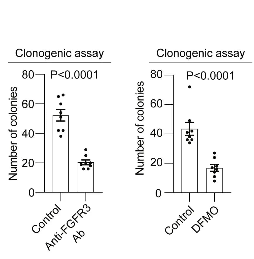 Open access visualization of Bar Plot, Error Bars, Scatter Plot, Clonogenic Assay, Arid1a
