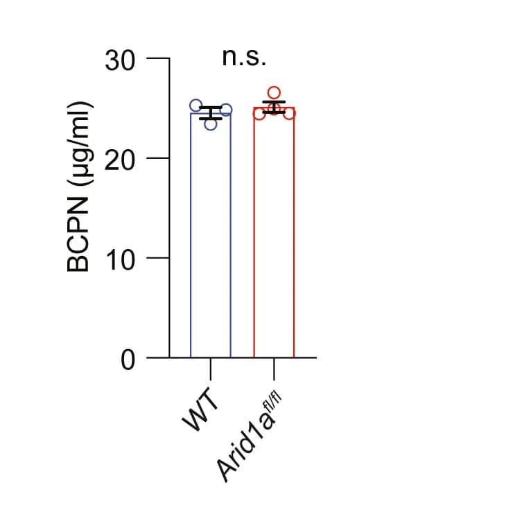 Open access visualization of Bar Plot, Error Bars, Mass Spectrometry, Urine BCPN, WT Mice