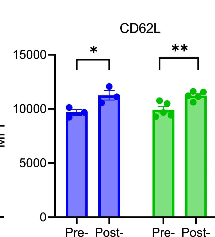 Open access visualization of Bar Plot, Error Bars, CD62L MFI, CD8+ T Cells, Circulating Cells
