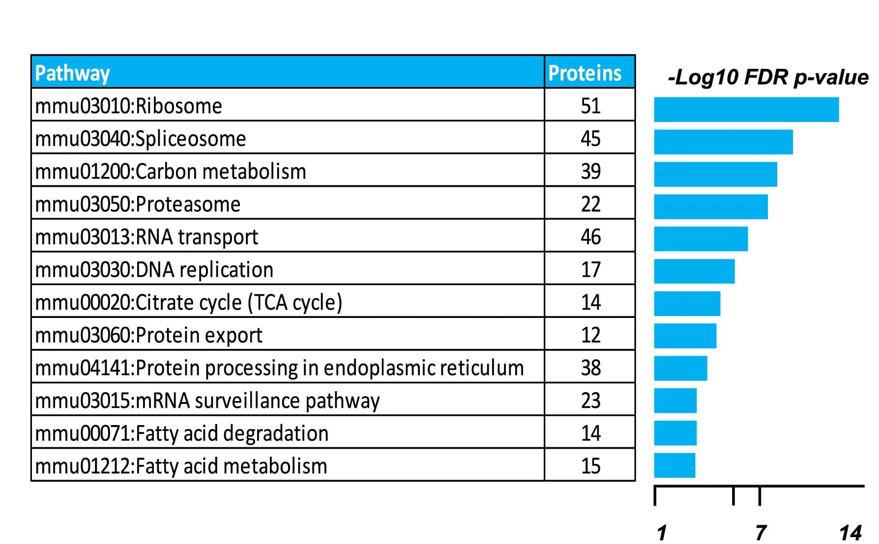 Open access visualization of Bar Plot, Metabolic Pathways, CTLs