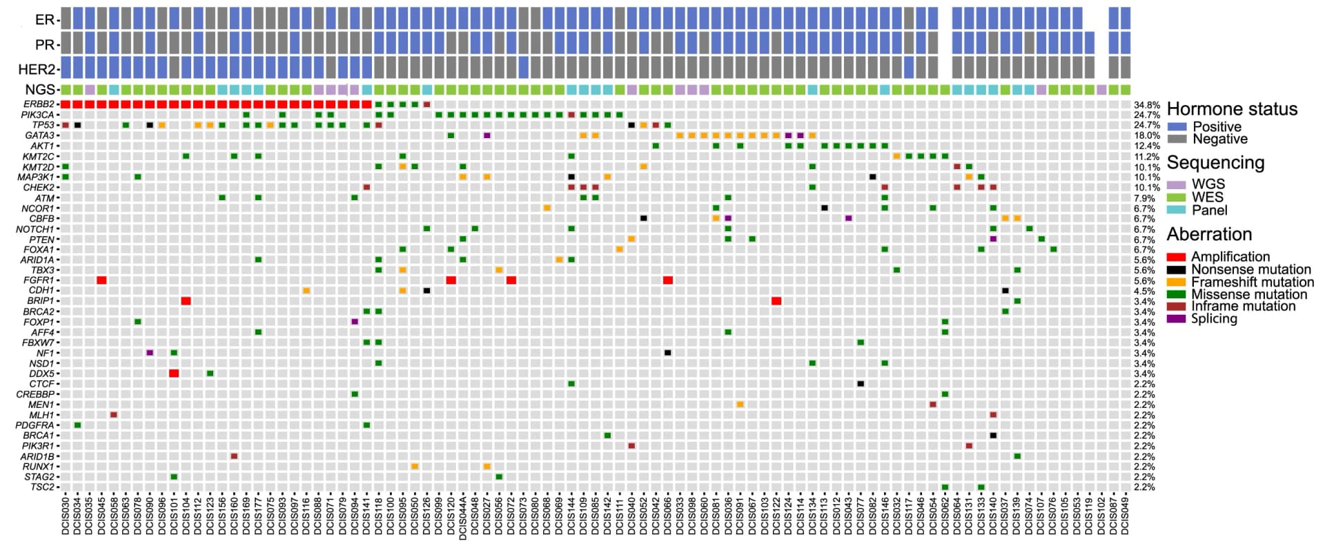 Open access visualization of Heatmap, Oncoprint, Mutational Landscape, Primary DCIS Lesions, Amplifications