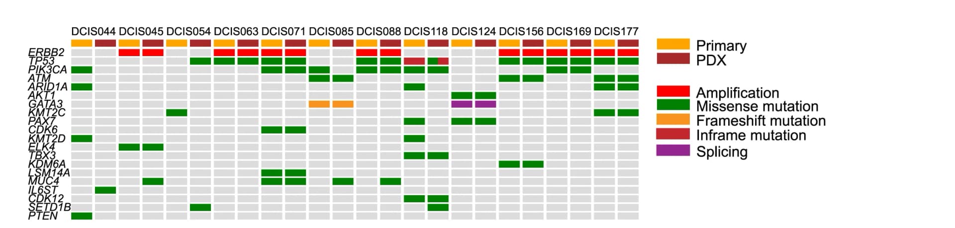 Open access visualization of Heatmap, Oncoprint, Amplifications, Single-nucleotide Variants, Insertion-deletions