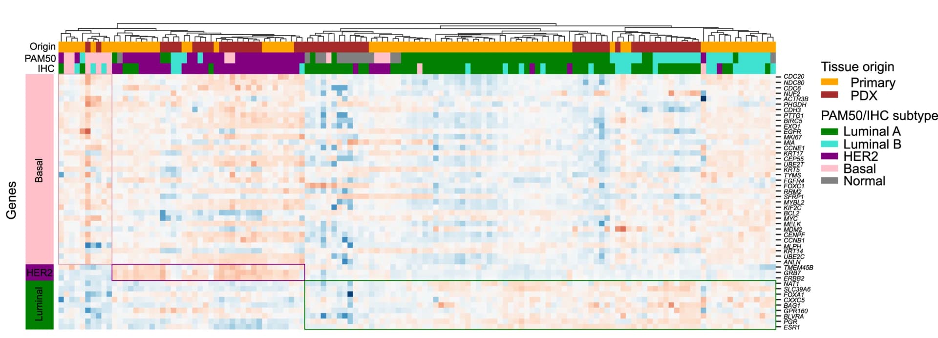 Open access visualization of Heatmap, Clustered, Unsupervised Clustering, DCIS-MIND Lesions, PAM50 Genes