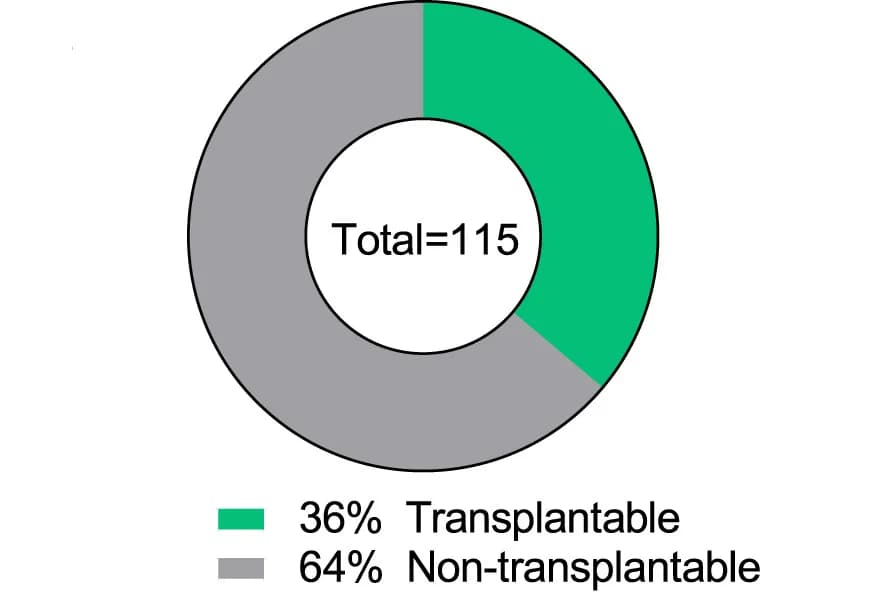 Open access visualization of Donut Chart, Pie Chart, Success Rate, Transplantable DCIS Models