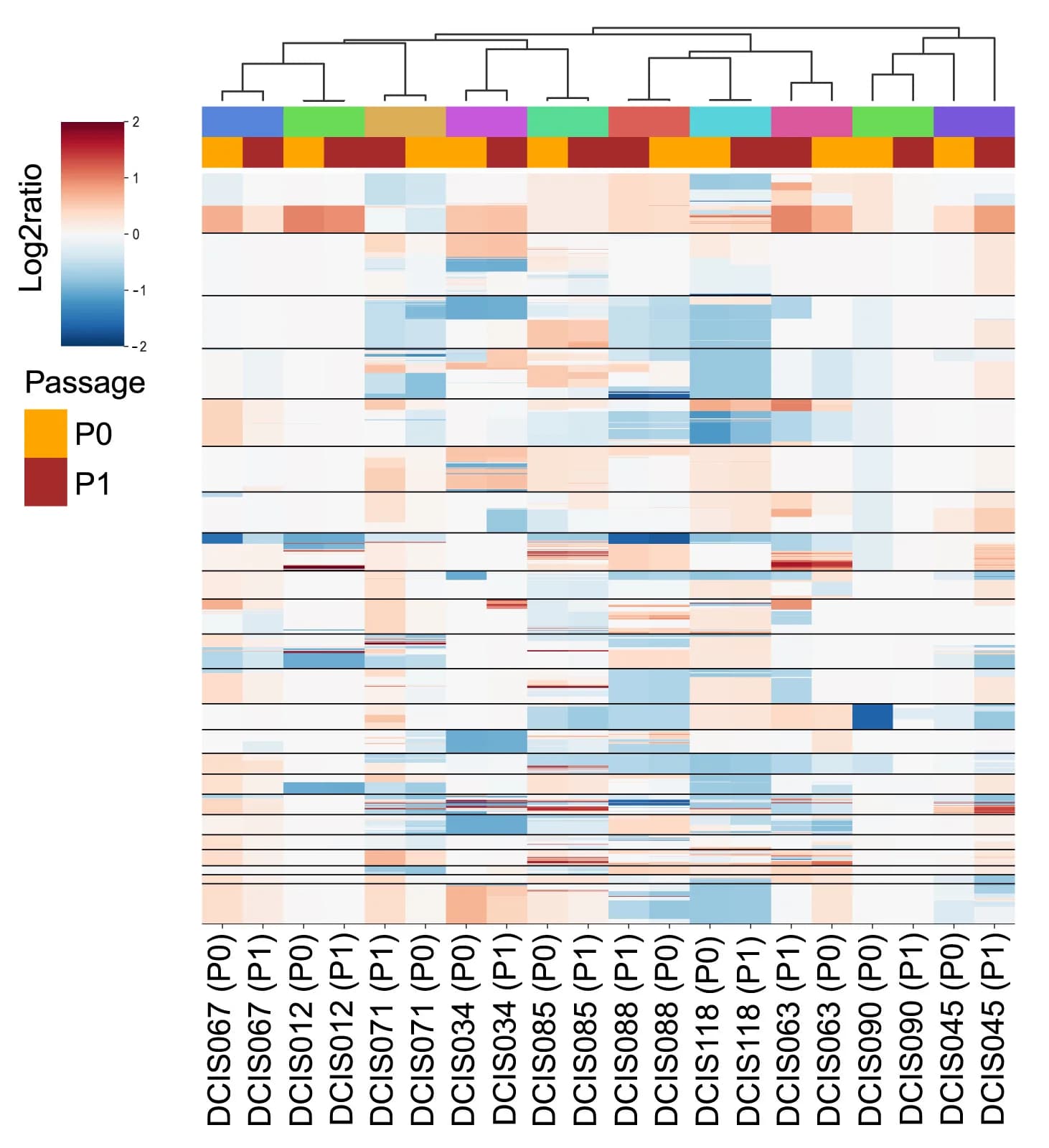Open access visualization of Heatmap, Clustered, Unsupervised Clustering, CNA Profiles, DCIS Models