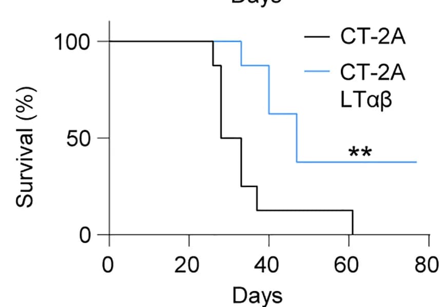 Open access visualization of Line Step, Survival Curve, Kaplan-Meier Survival Curves, Cell Lines, Log-rank Test