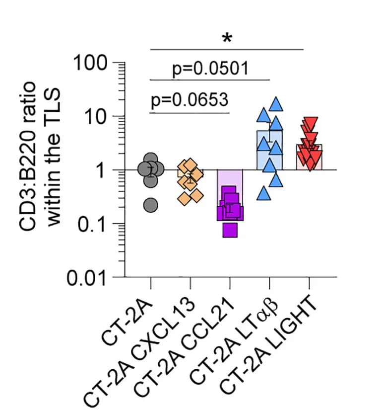 Open access visualization of Scatter Plot, Error Bars, CD3-to-B220 Ratio, TLS, Kruskal-Wallis Test