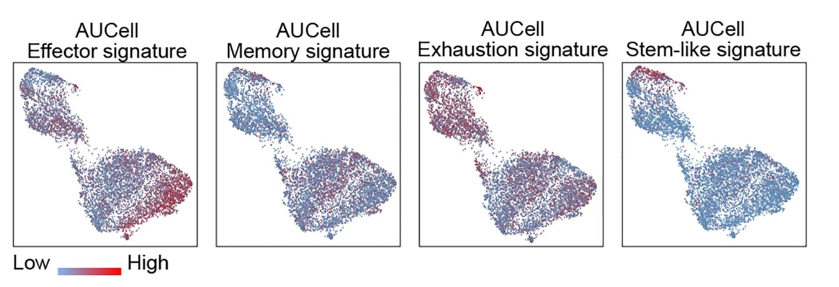 Open access visualization of Scatter Plot, UMAP, AUCell, Gene Signatures, Effector CD8+T Cells