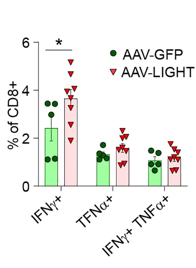 Open access visualization of Bar Plot, Error Bars, Scatter Plot, Trajectory Maps, AUCell Enrichment Scores