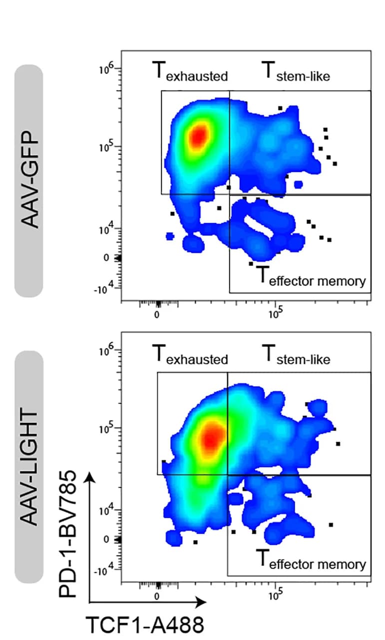Open access visualization of Scatter Plot, Density Plot, Pseudocolor Density Plots, PD-1, TCF1