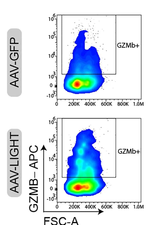 Open access visualization of Scatter Plot, Density Plot, Pseudocolor Density Plots, Granzyme-b, CD8+ T Cells