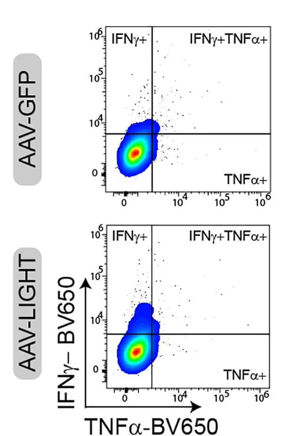 Open access visualization of Scatter Plot, Pseudocolor Density Plots, Interferon-γ, Tumor Necrosis Factor-α, CD8+ T Cells