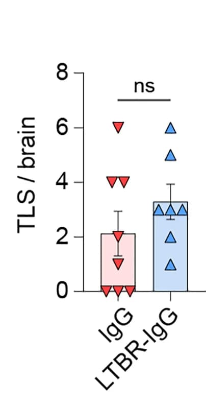 Open access visualization of Bar Plot, Error Bars, Scatter Plot, TLS, Brain