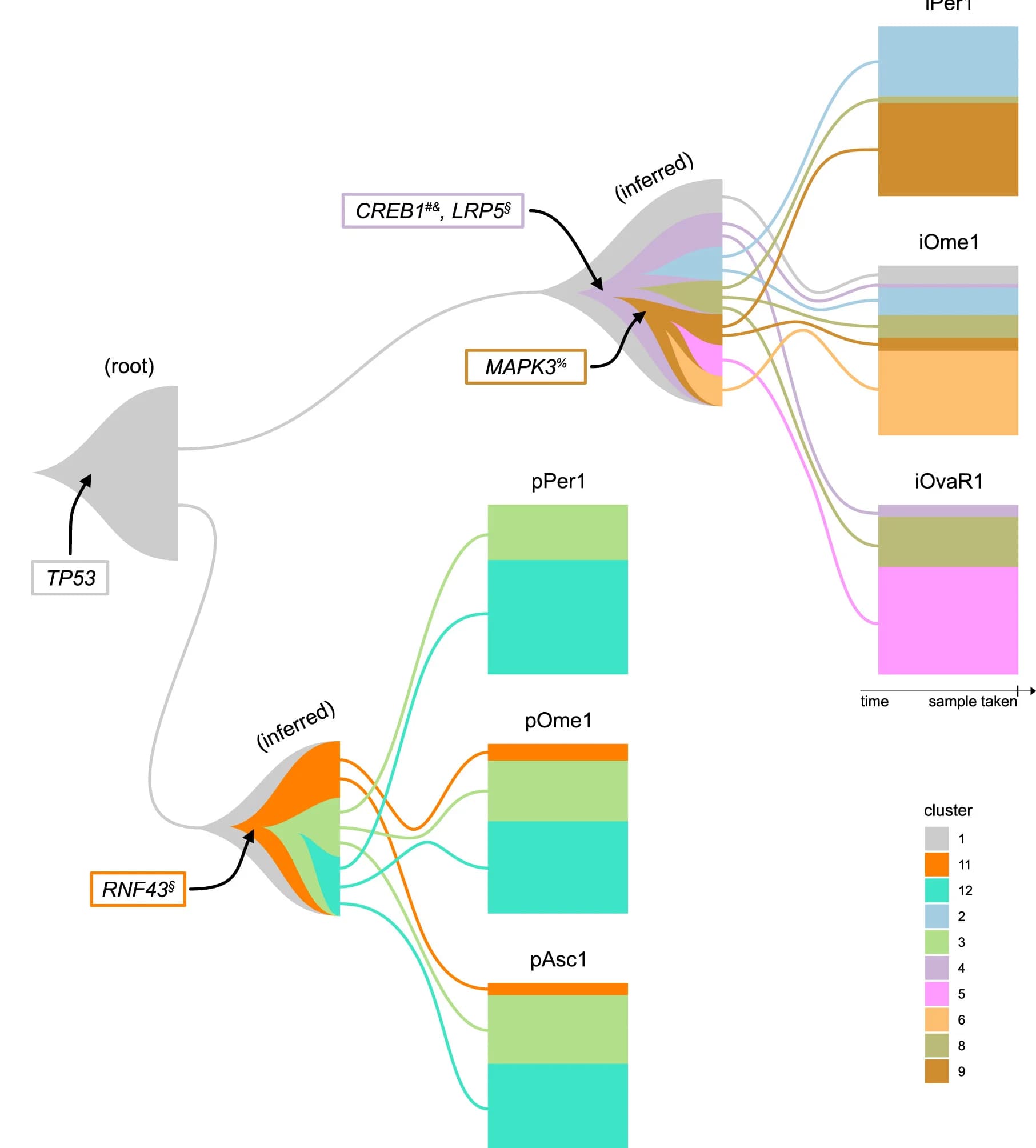 Open access visualization of Sankey, Jellyfish Plot, Patient EOC153, Subclonal Changes, Tissues