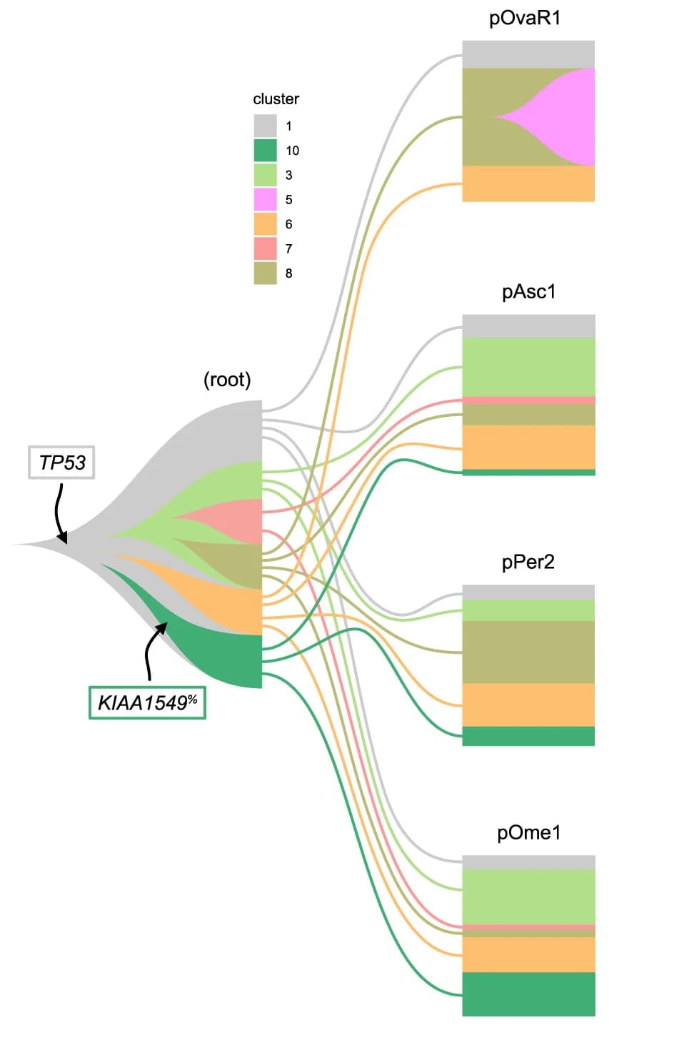 Open access visualization of Sankey, Stacked Bar Plot, Jellyfish Plot, Clonal Composition, Cluster 2