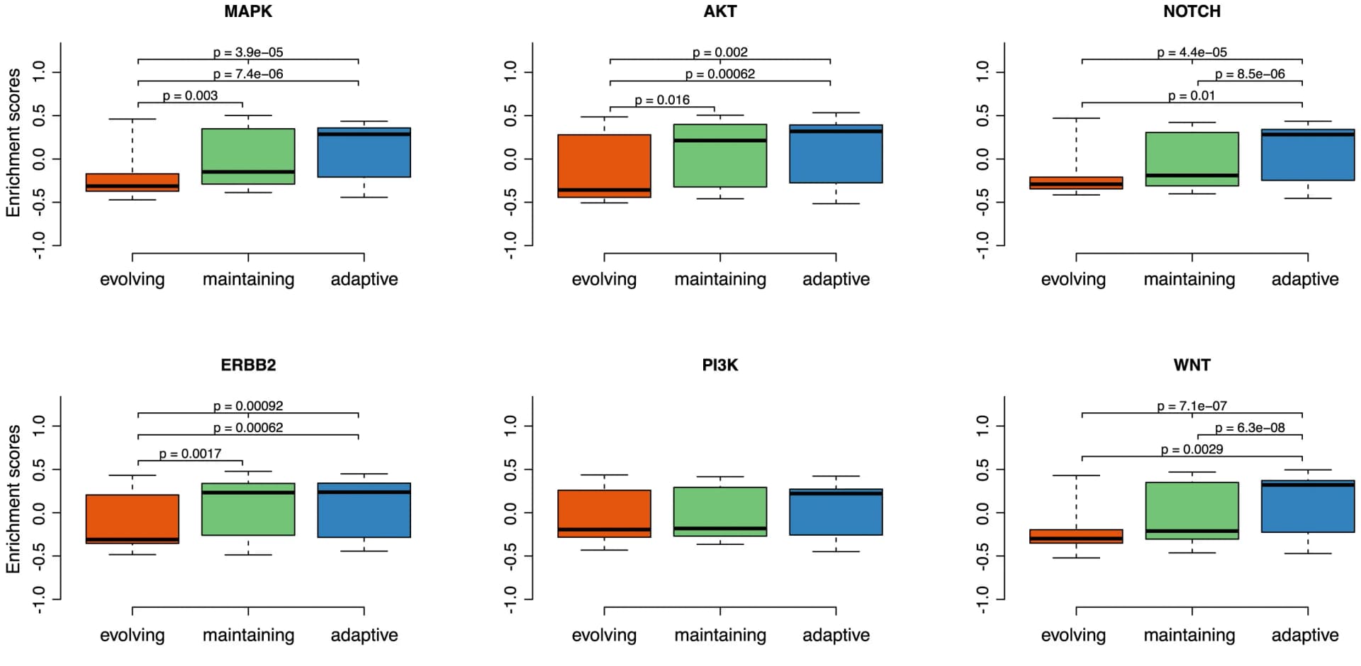 Open access visualization of Box Plot, Pathway enrichment scores, RNA expression data, Evolutionary states, Gene set enrichment analysis