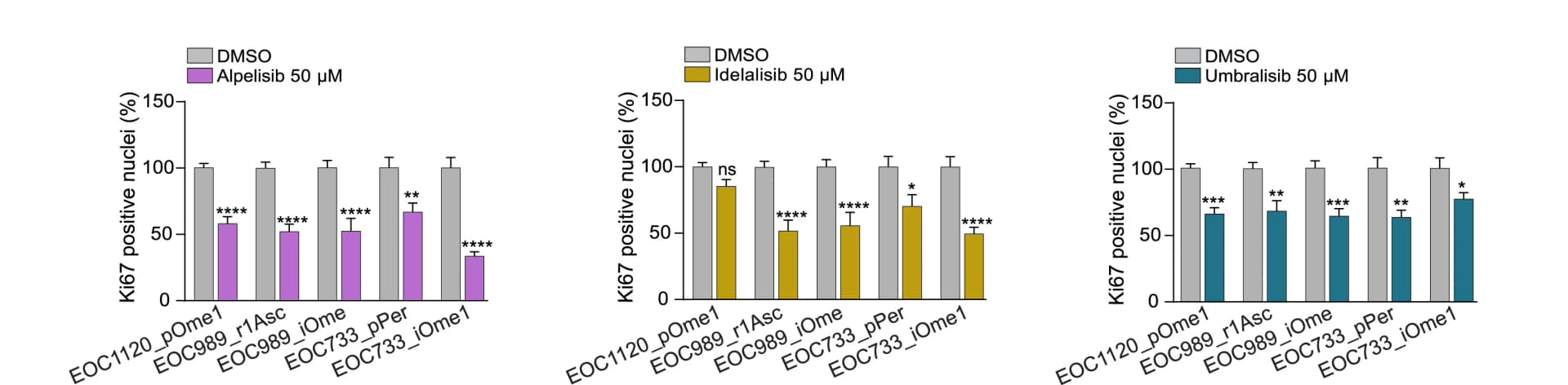 Open access visualization of Bar Plot, Error Bars, Clustered, Cell Proliferation, Organoids