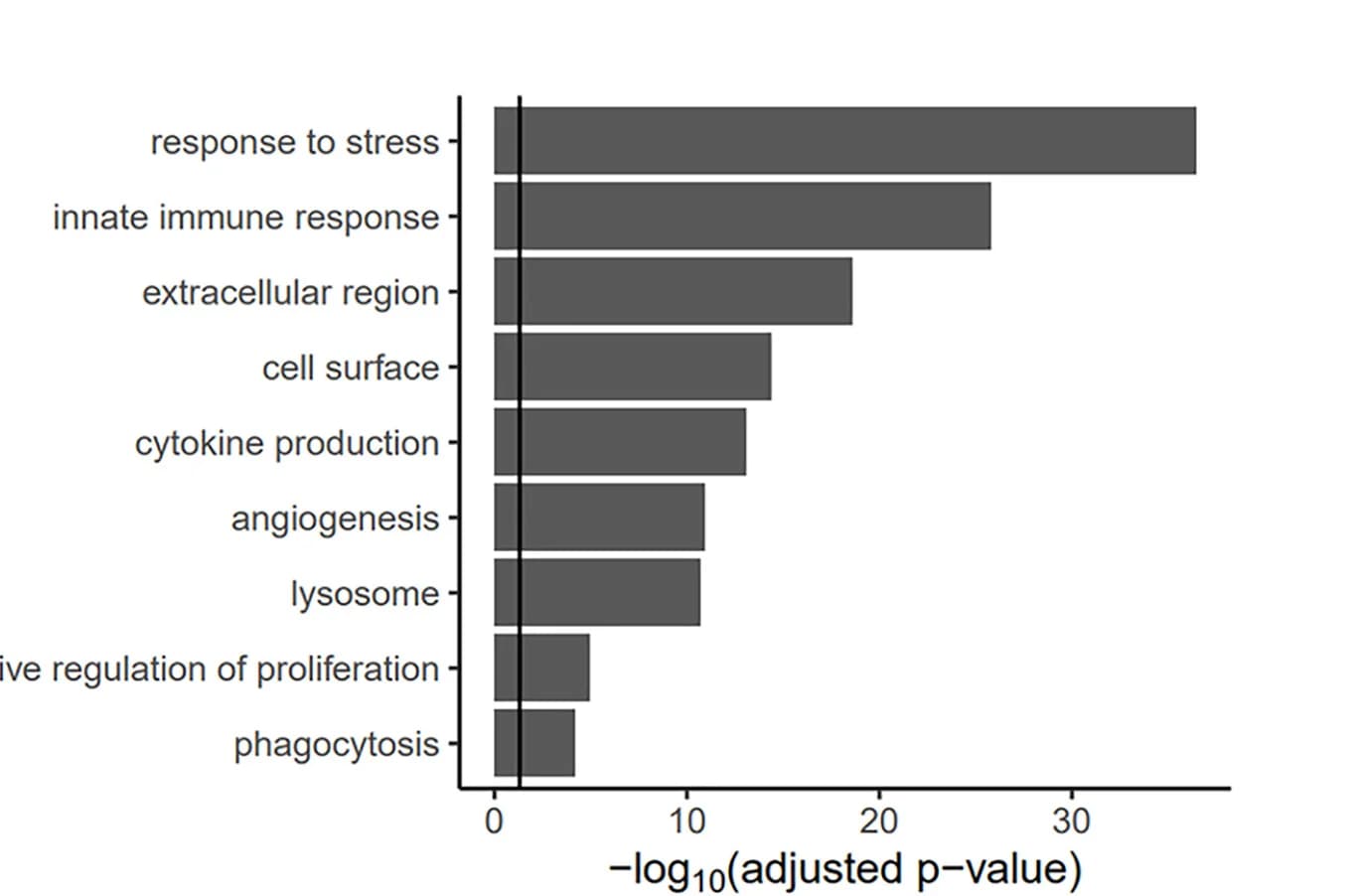 Open access visualization of Bar Plot, GSEA, mCherry-positive cells, mCherry-negative cells, Interstitial macrophages