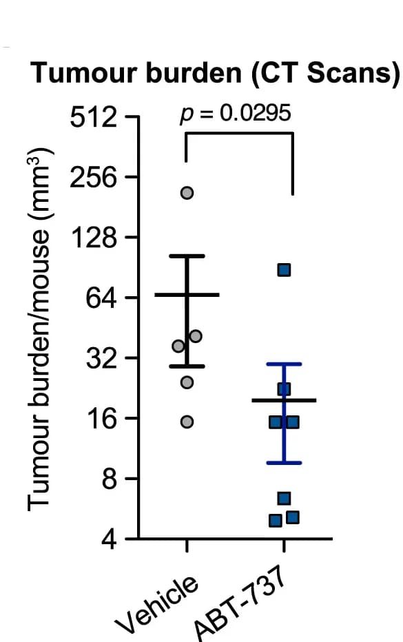 Open access visualization of Scatter Plot, Error Bars, Tumor Burden, KrasFSFG12V/+ Mice, Lung Tumors