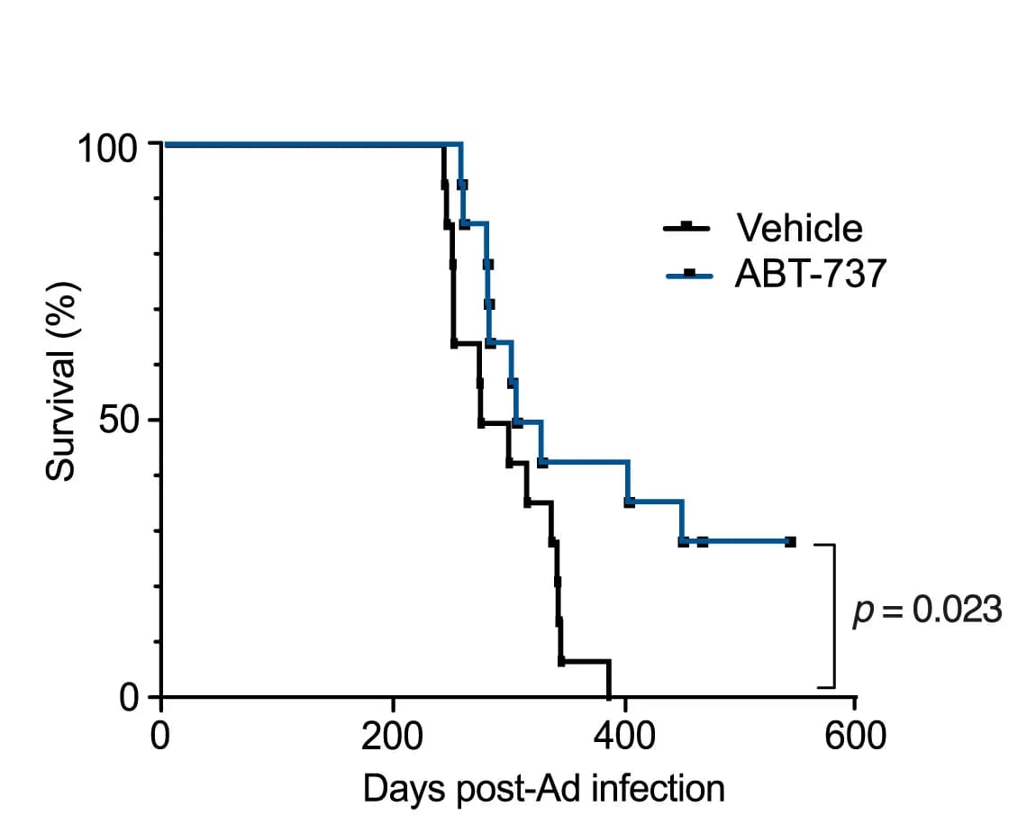 Open access visualization of Survival Curve, Line Plot, Line Step, KrasFSFG12V/+ Mice