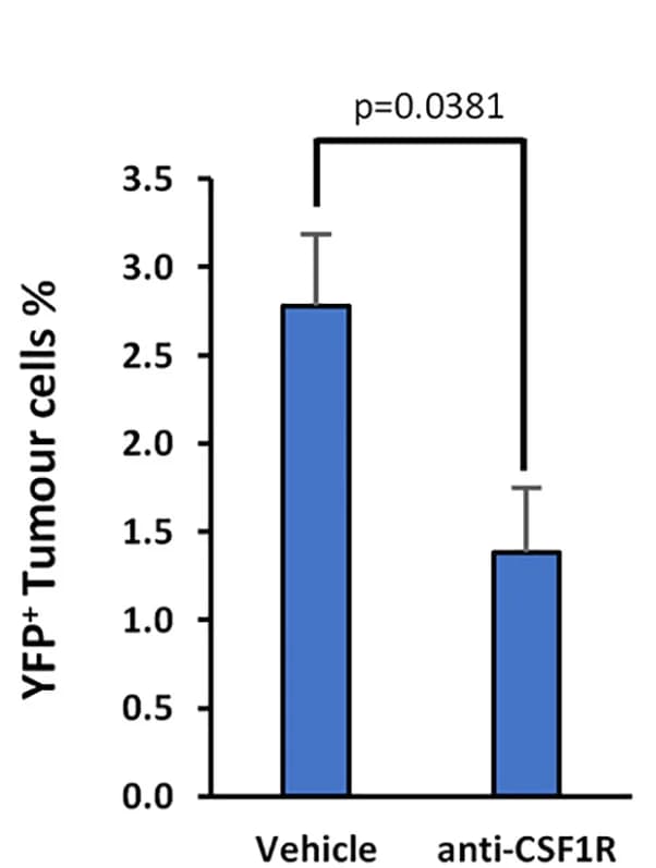 Open access visualization of Bar Plot, Error Bars, Quantification, Tumor Cells, YFP