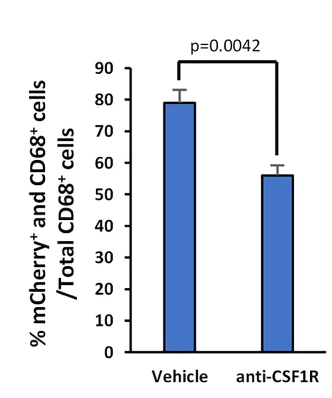 Open access visualization of Bar Plot, Error Bars, Quantification, Macrophages, CD68