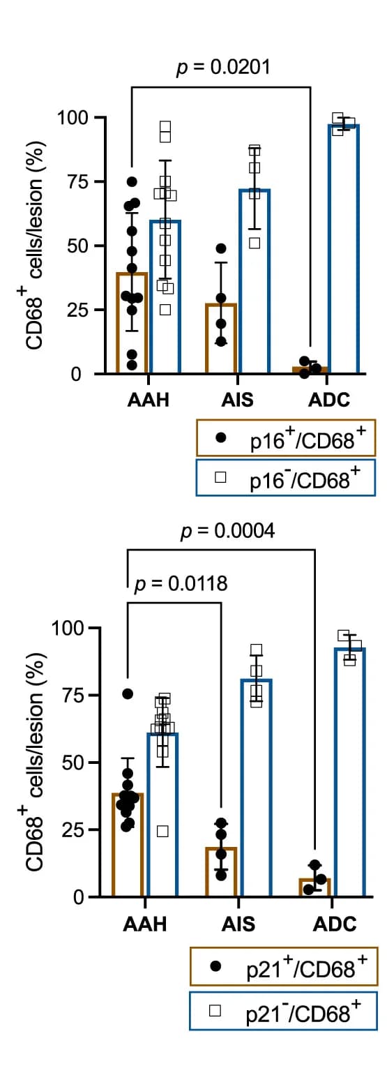Open access visualization of Bar Plot, Error Bars, Scatter Plot, Quantification, CD68-positive Cells