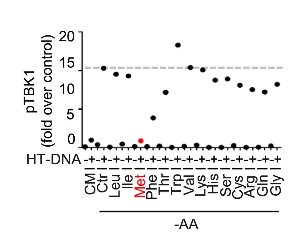 Open access visualization of Scatter Plot, Amino Acids, pTBK1, B16F10 Cells
