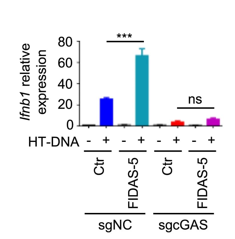 Open access visualization of Bar Plot, Error Bars, Clustered, FIDAS-5, Ifnb1 Expression