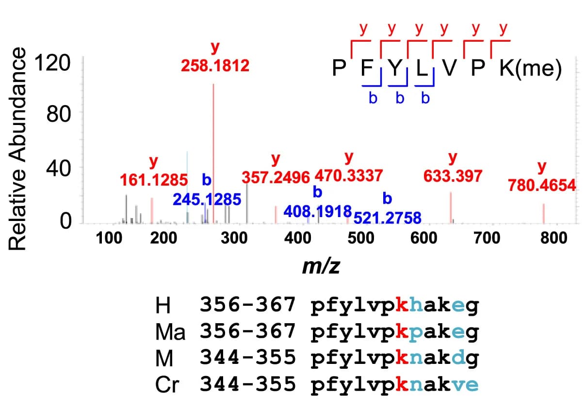 Open access visualization of Bar Plot, Liquid Chromatography-Mass Spectrometry, LC-MS, cGAS Methylation, Sequence Alignment