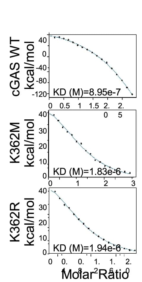 Open access visualization of Line Plot, Scatter Plot, Isothermal Titration Calorimetry, ITC, Binding Affinity