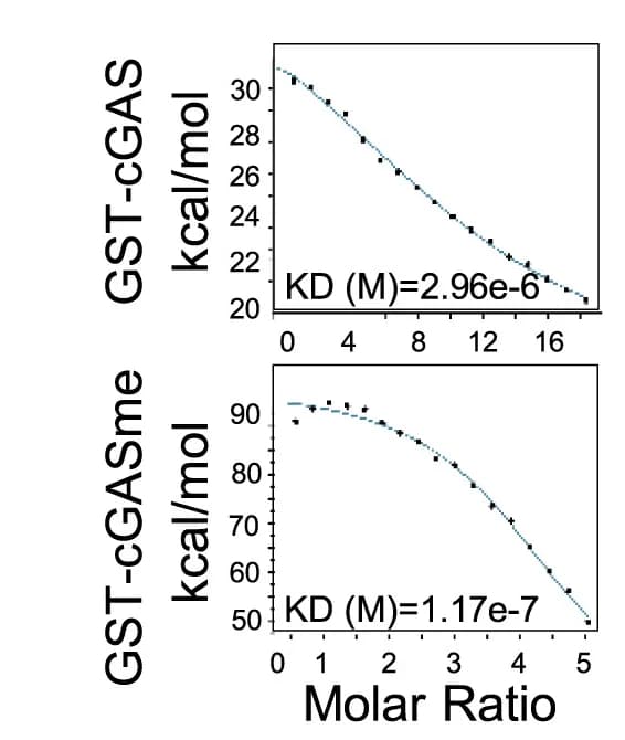 Open access visualization of Line Plot, GST Pull-Down, ITC, Non-Methylated cGAS, Methylated cGAS