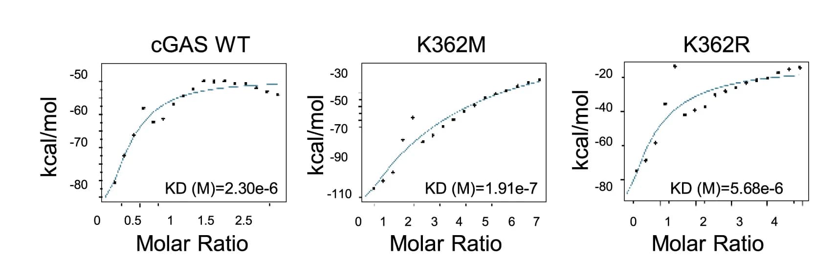 Open access visualization of Scatter Plot, Line Plot, ITC, Binding Affinity, GST Wild-Type cGAS