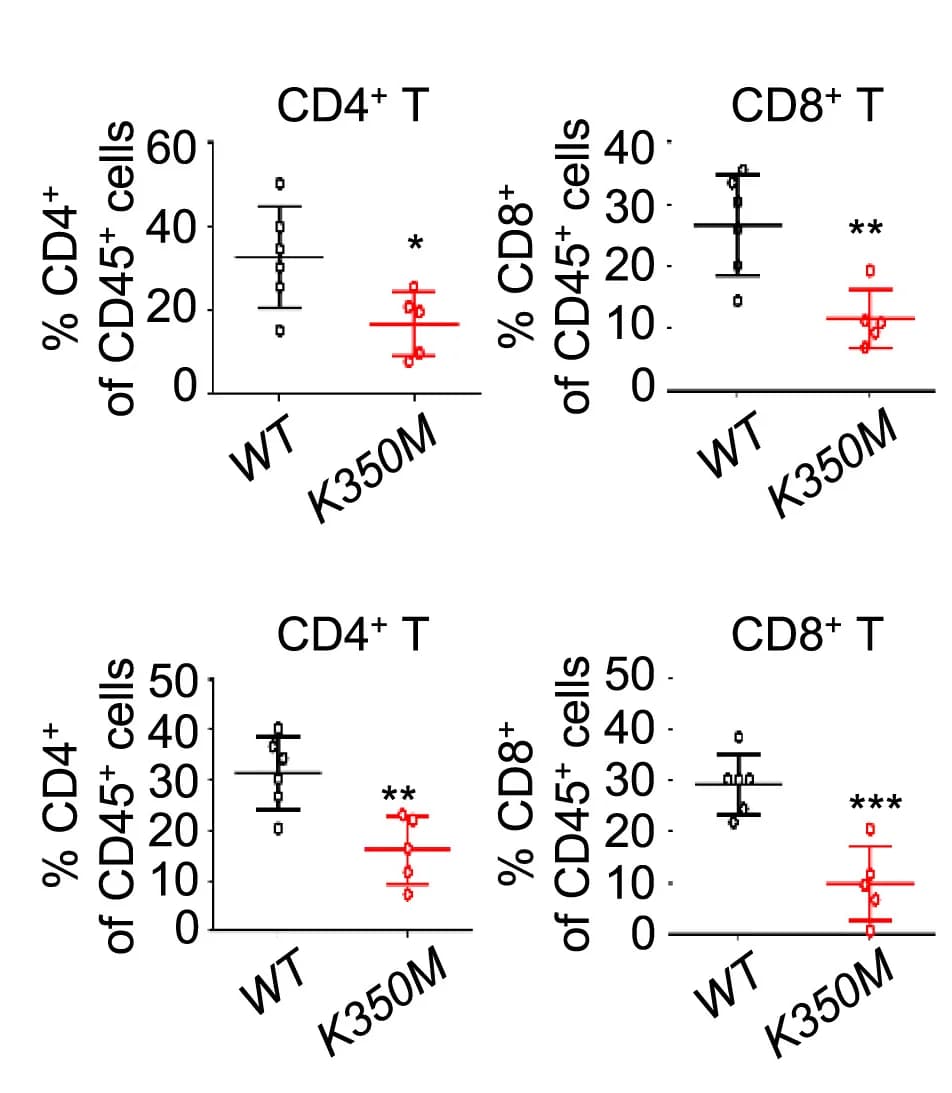 Open access visualization of Scatter Plot, Error Bars, Cytokine Production, B16F10, MC38