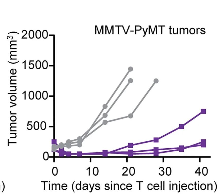 Open access visualization of Line Plot, Scatter Plot, Tumor Growth, Mice, KB1P Tumors