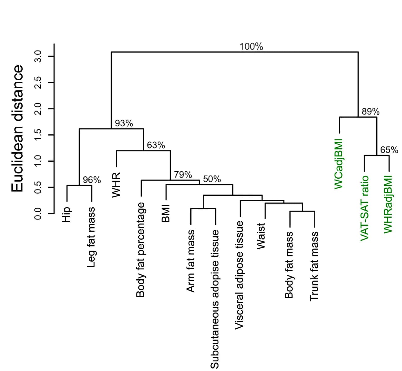 Open access visualization of Network, Hierarchical clustering, Bootstrapping, Genetic correlation, Females