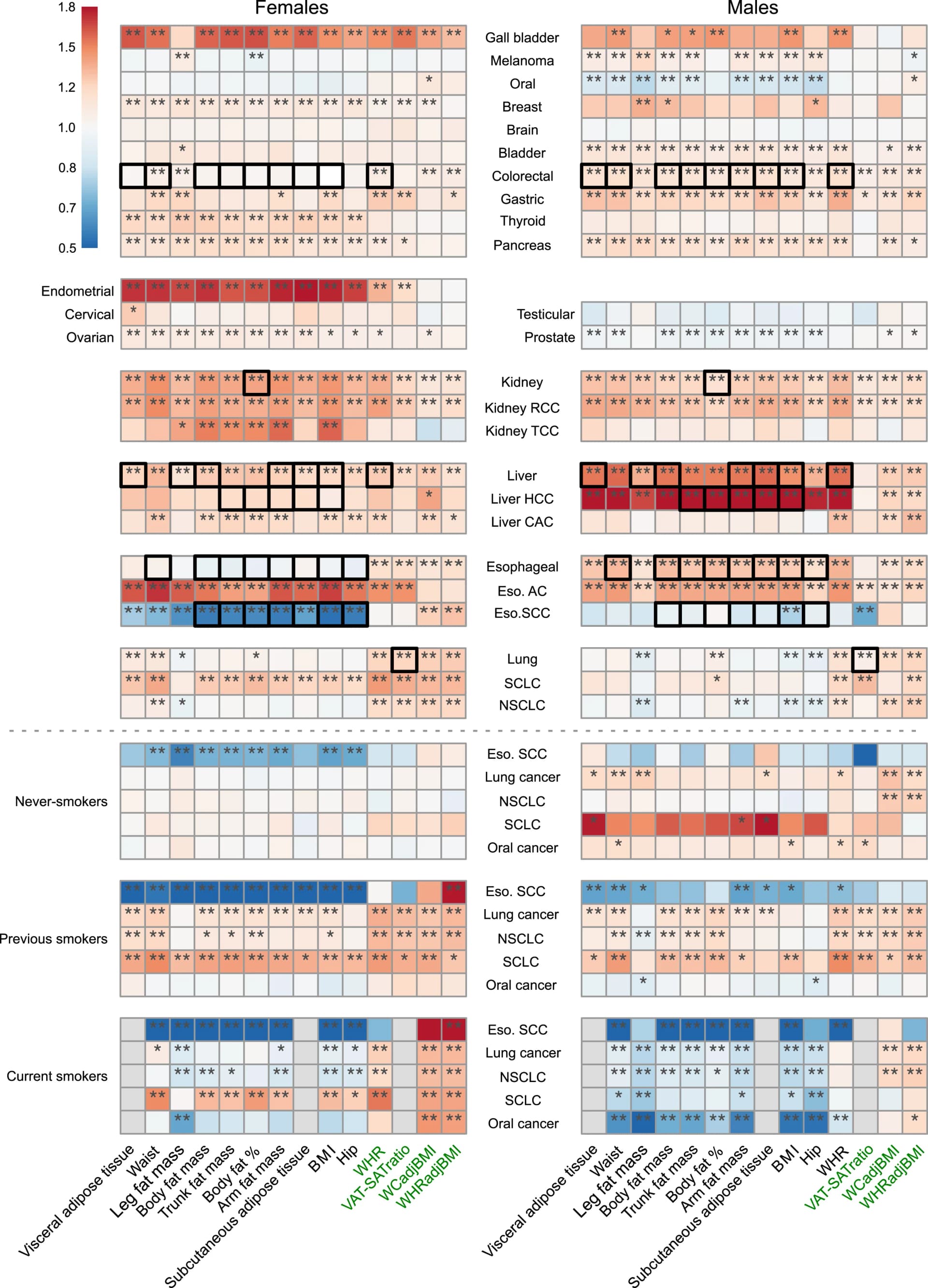 Open access visualization of Heatmap, Hazard Ratios, Cancer, Adiposity, Smoking