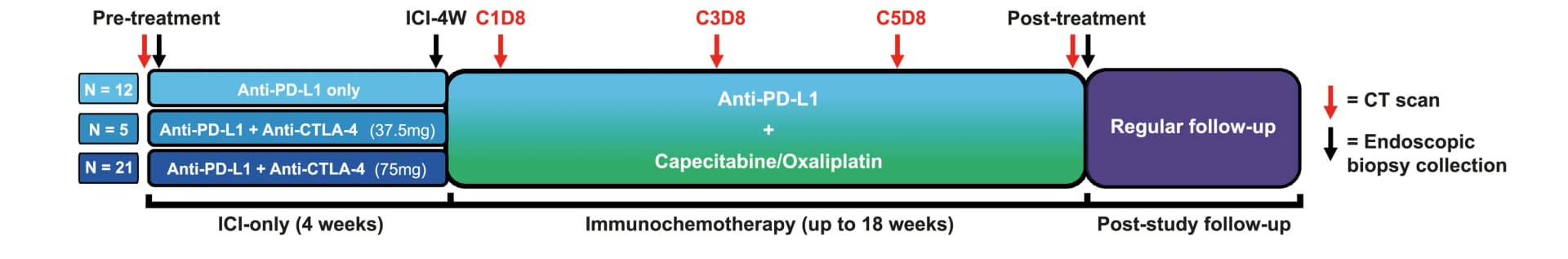 Open access visualization of Workflow, Timeline, Treatment, Sampling, CT Response