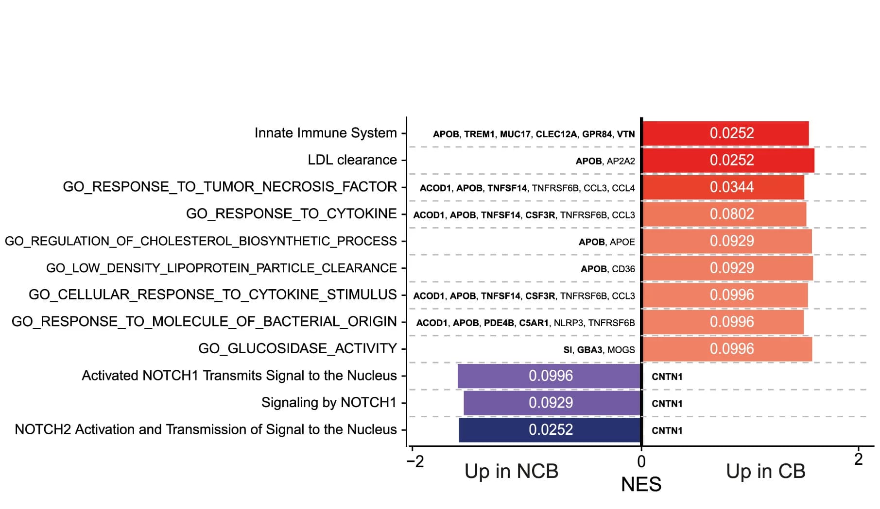 Open access visualization of Bar Plot, FGSEA, PreTx pathways, CB, NCB